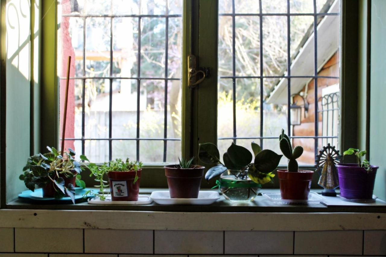 Alhue Patagonia Hostel San Martín de los Andes Kültér fotó