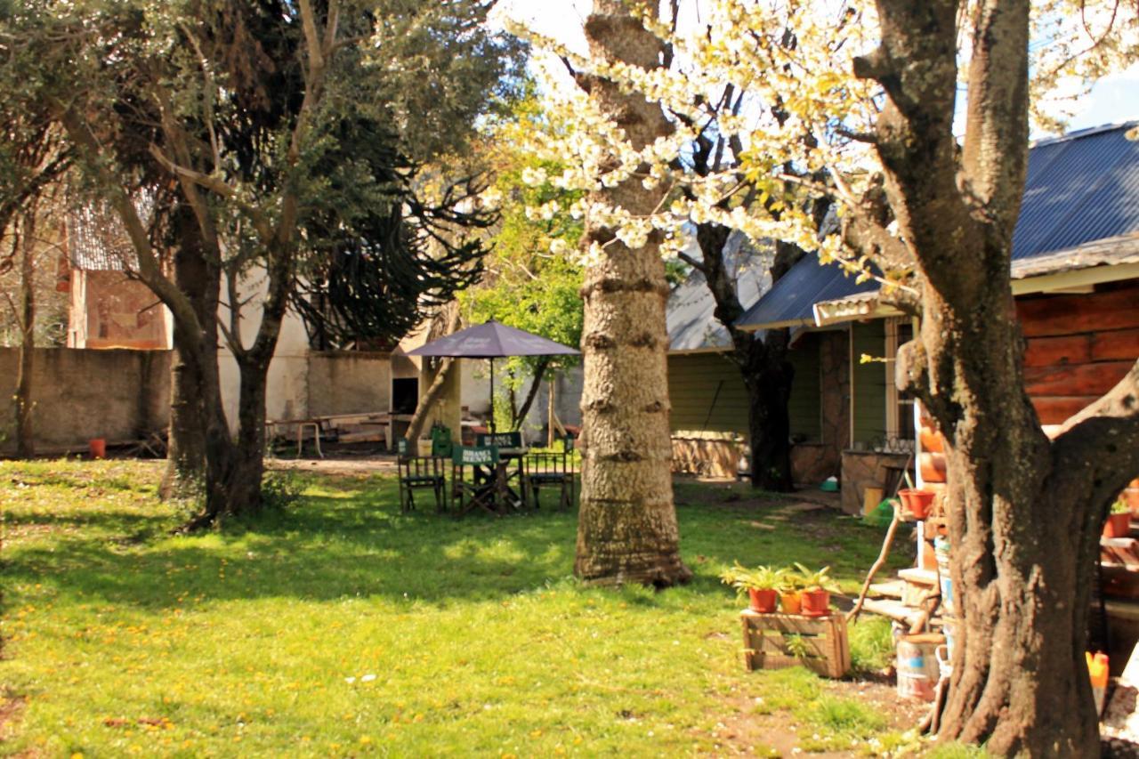 Alhue Patagonia Hostel San Martín de los Andes Kültér fotó